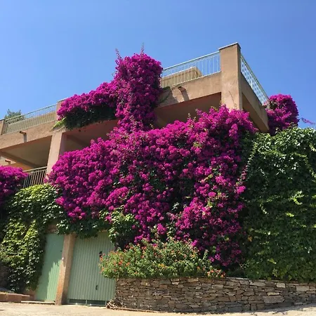 Appartement Dans Villa A Erbalunga * Brando