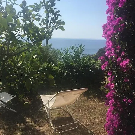 Lägenhet Appartement Dans Villa A Erbalunga