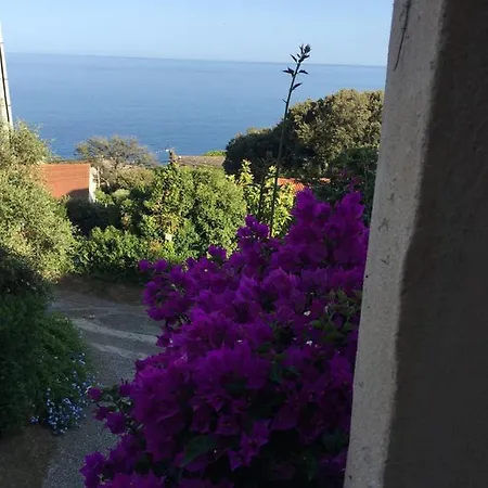 Appartement Dans Villa A Erbalunga Lägenhet *